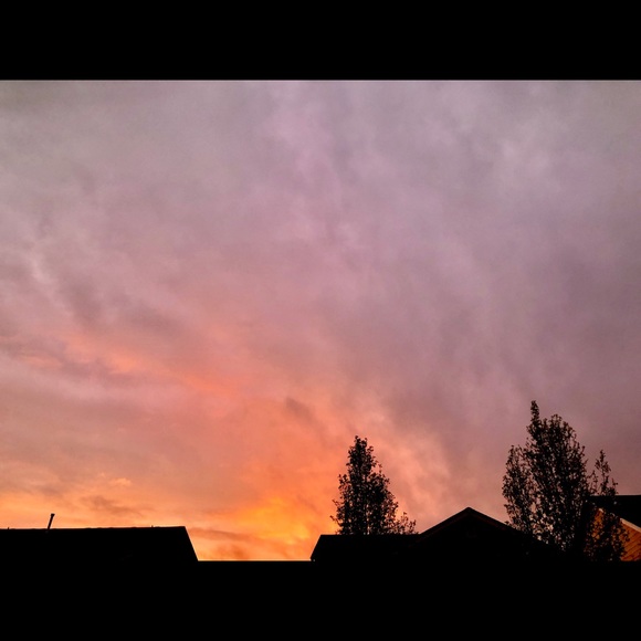 Meet your Posher, Barina - Picture 3 of 4